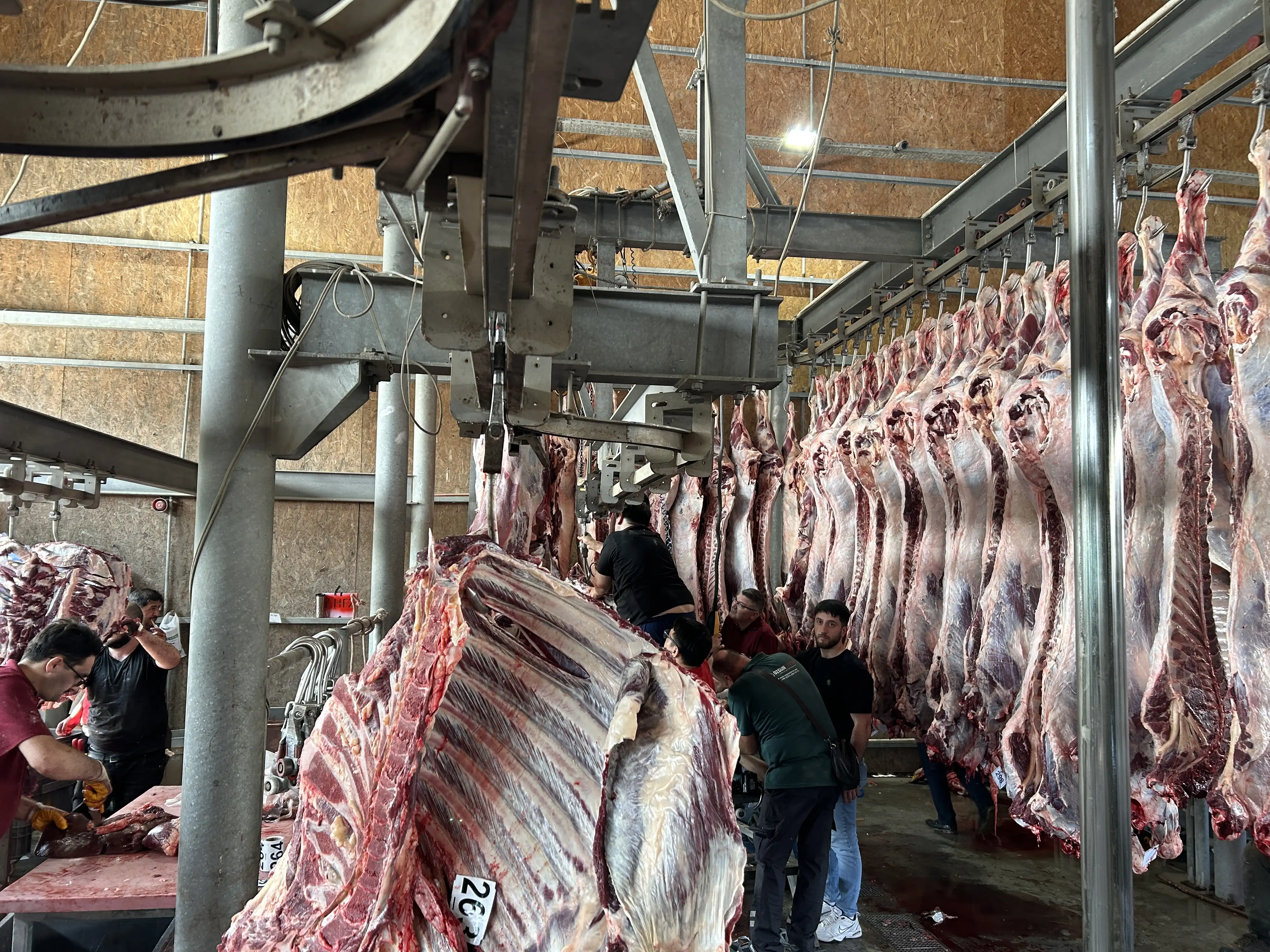 Kesimhane — Sancak Kurban