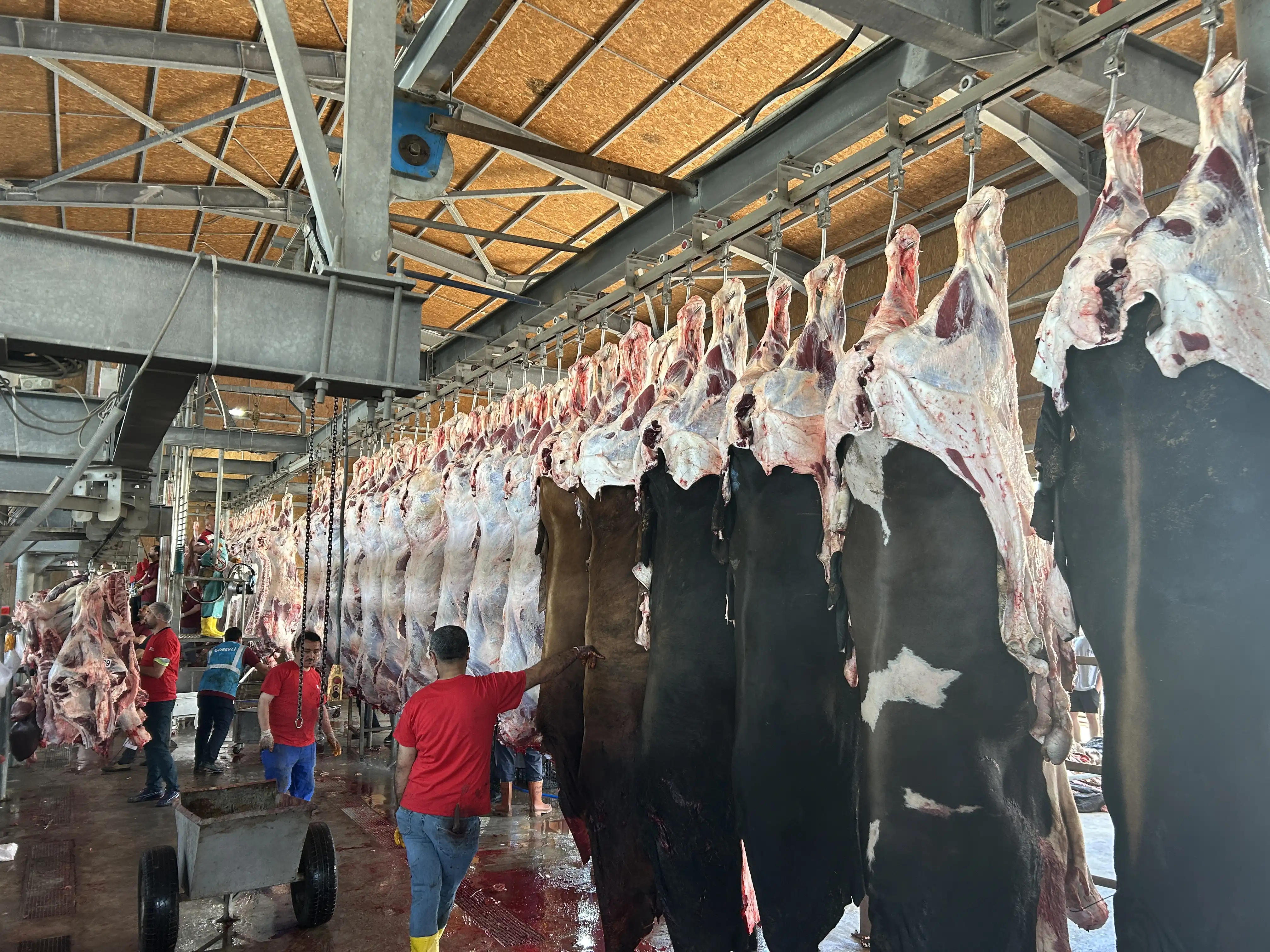 Kesimhane — Sancak Kurban