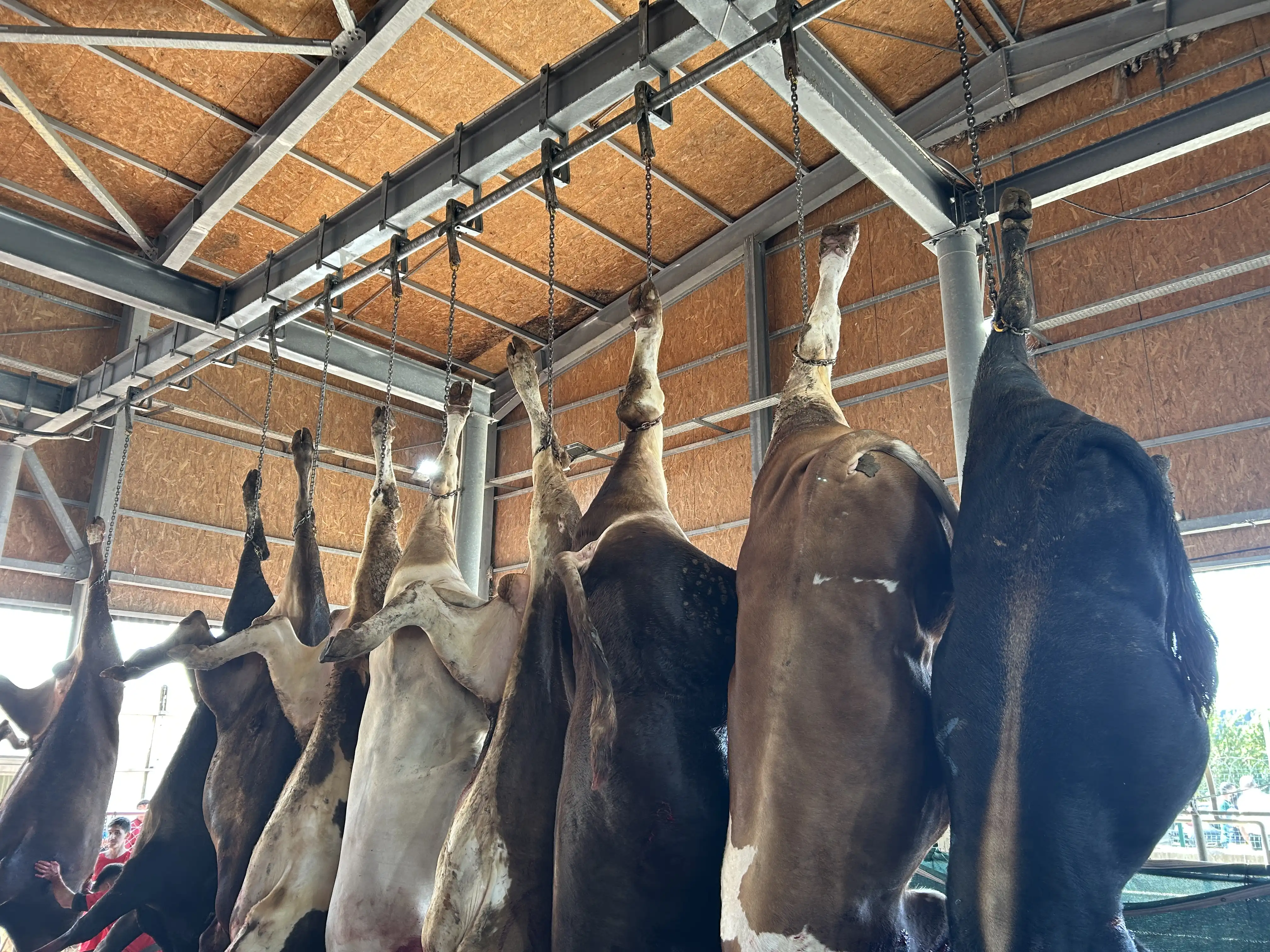 Kesimhane — Sancak Kurban