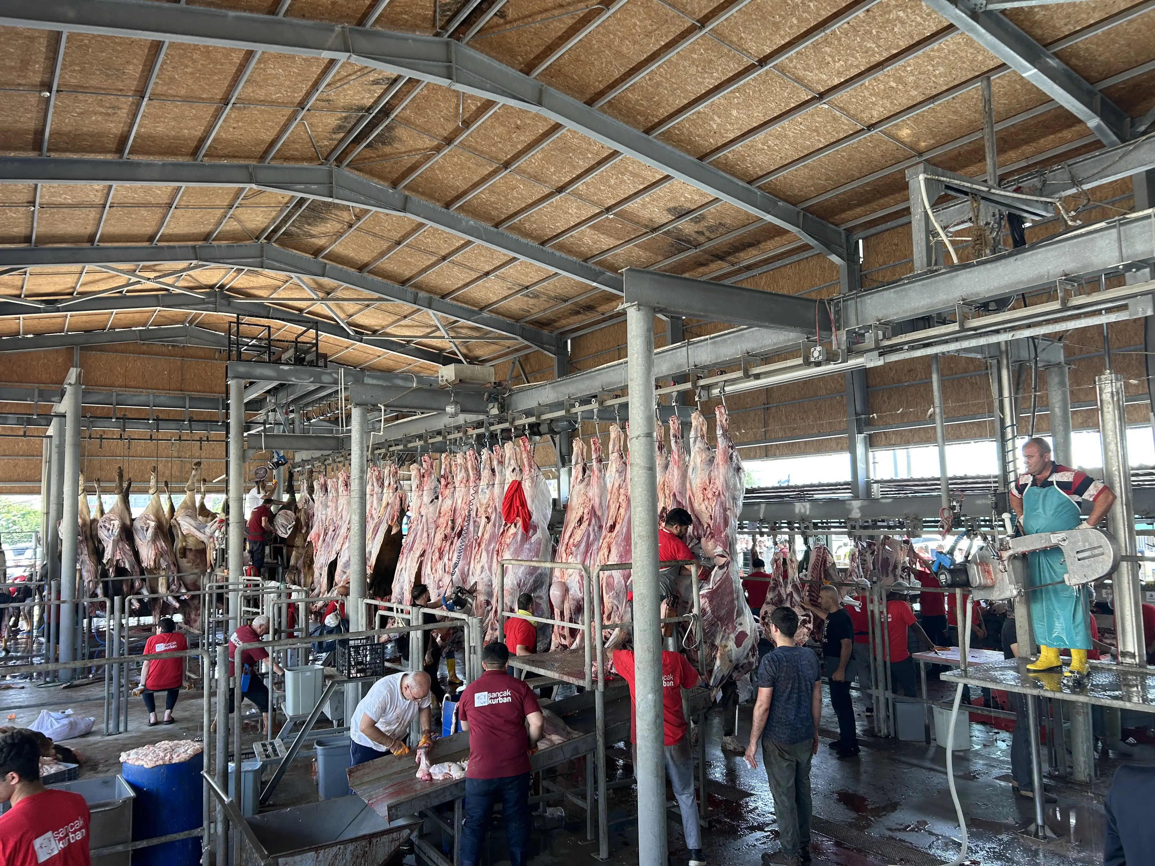 Kesimhane — Sancak Kurban