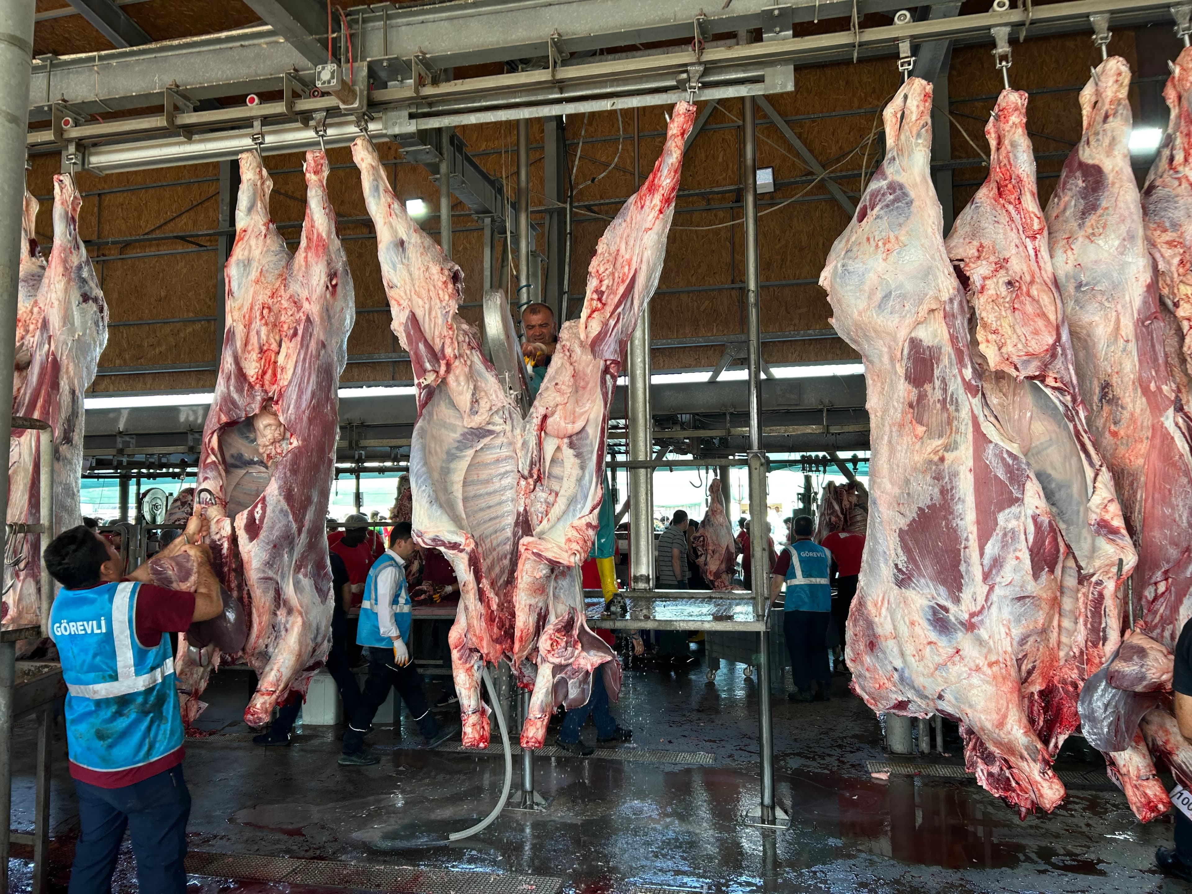 Kesimhane — Sancak Kurban