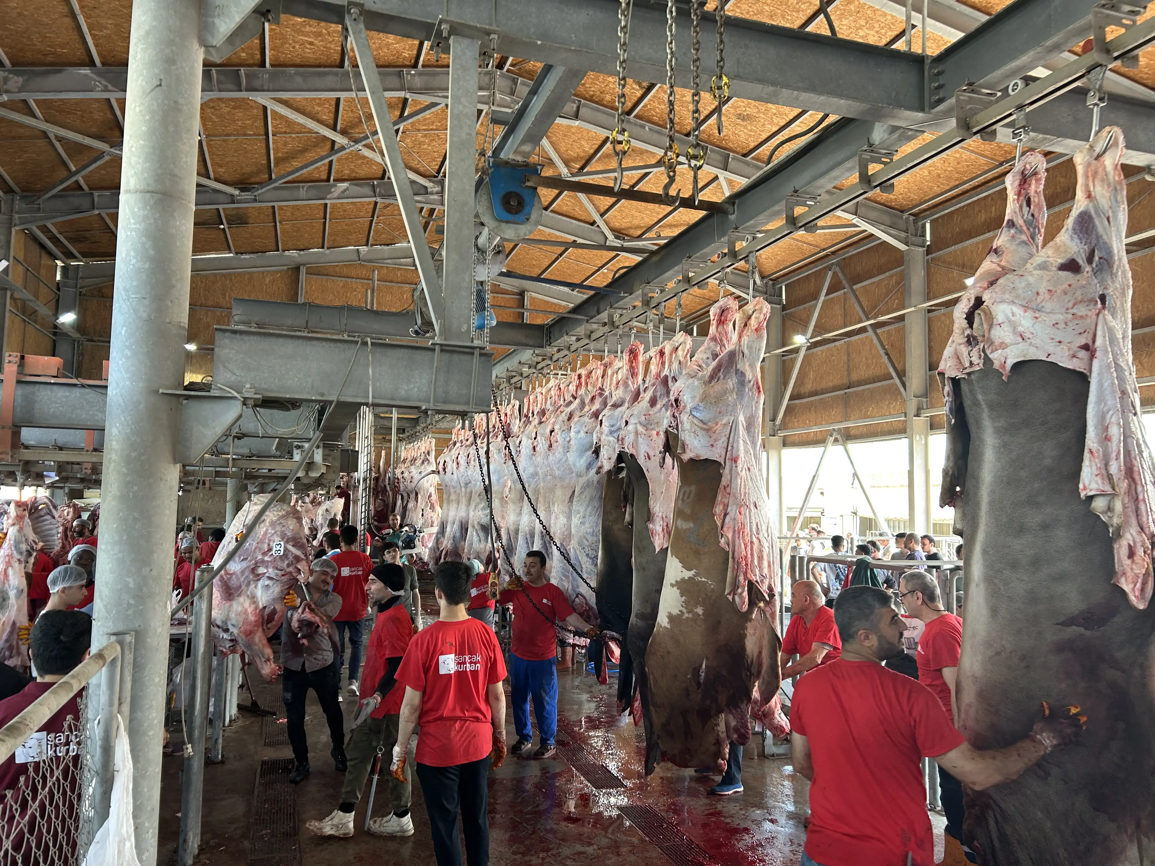 Kesimhane — Sancak Kurban